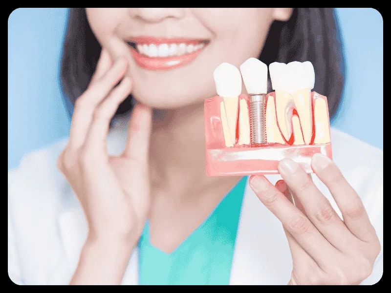 Hekim, çene kemiğine yerleşen implant vidasını gösteren kesit maketini tutuyor