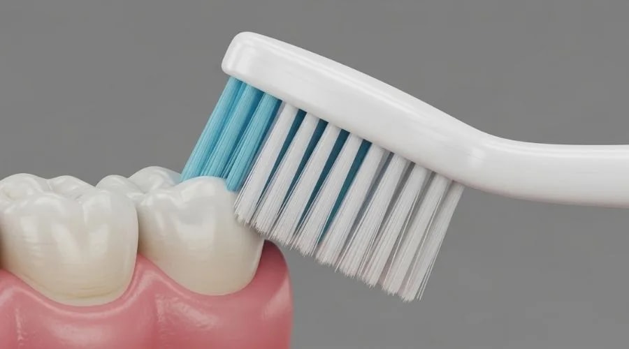 Diş fırçasının diş eti çizgisine 45 derecelik açıyla yerleştirilmesi